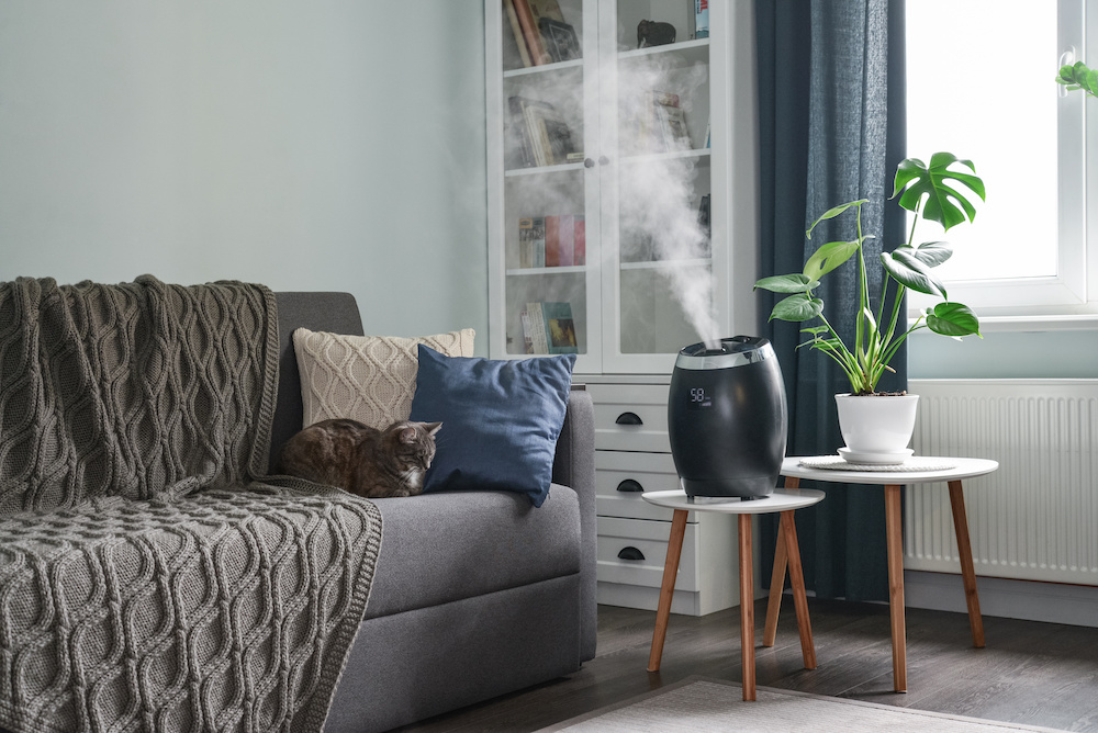 what are the benefits of humidifier in winter